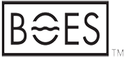 BASIS Overseas Educational Services logo